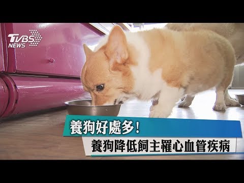 養狗好處