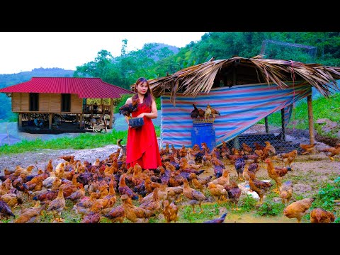 Full video 200 days building a new farm | Gardening, raising livestock and harvesting wet rice