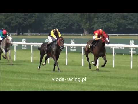 Gon. I - 16.06.2019 - Time of Dream (Ajvaz Dream - Time of Wind)