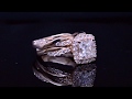 Natural Halo Twisted Pave Diamond Engagement Ring