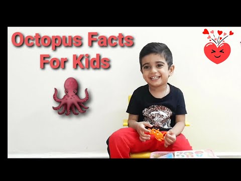 🐙Octopus Facts for Kids🐙 Learn about Octopus | Video for Kids | Ocean Animals for Kids