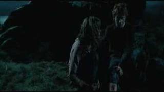 Ron and Hermione: Something To Tell You