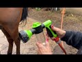 Pistola per Doccia Cavallo con dosatore per Shampoo Hippotonic - 0297 - video