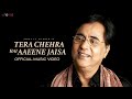 Jagjit Singh Tera Chehra Hai Aaeene Jaisa Official Video Aaeena