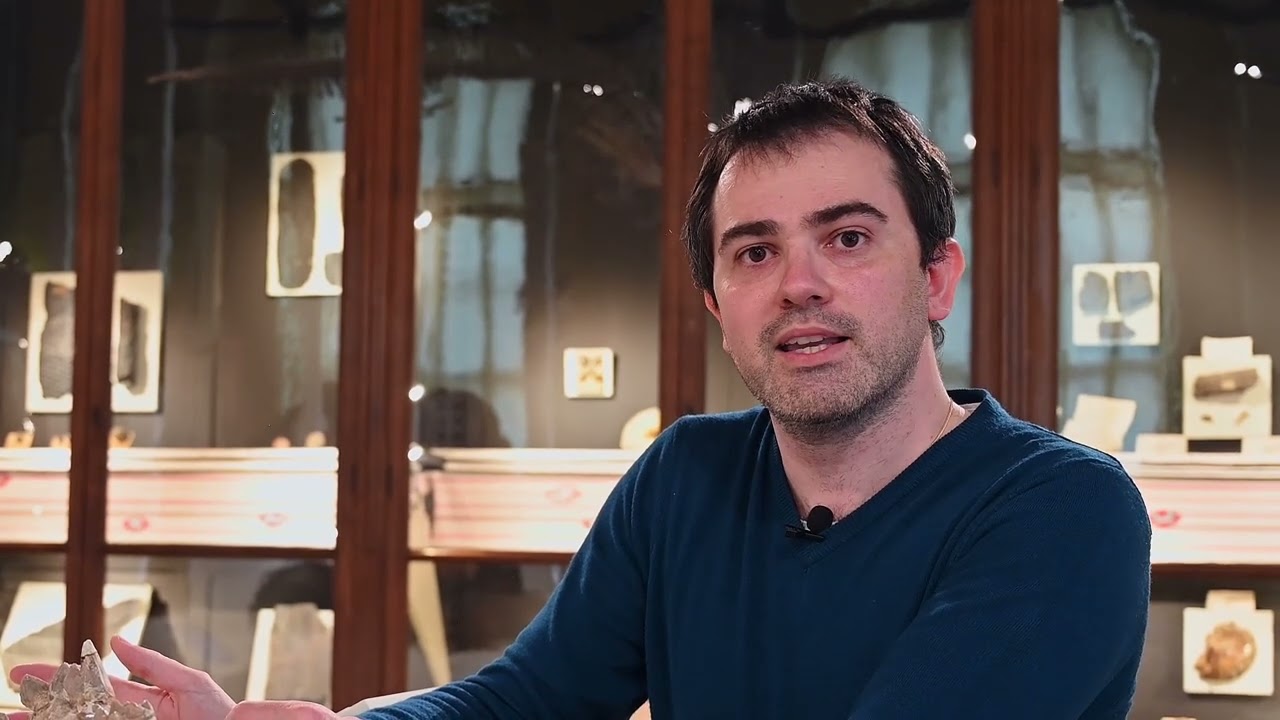 L'Anthracotherium par Christophe