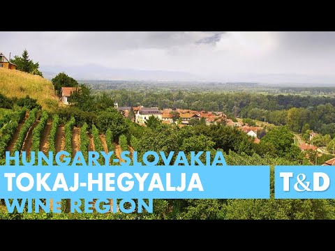 Tokaj-Hegyalja Wine Region 🇭🇺  Hungary and 🇸🇰  Slovakia