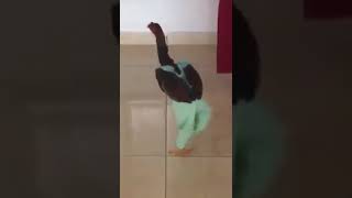 Download lagu ayam jago koplo lucu mp3 Download lagu ayam jago koplo lucu mp3