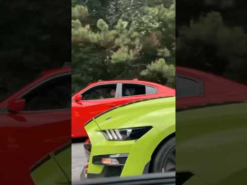Shelby GT500 vs Hellcat vs Camaro ZL1! 🏎️