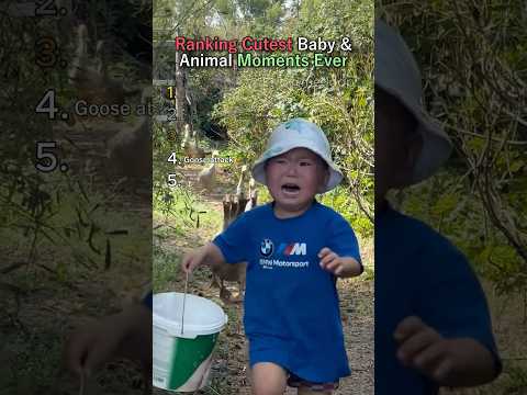 Ranking Cutest Baby & Animal Moments Ever