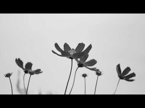 Tyde-Expensive Taste