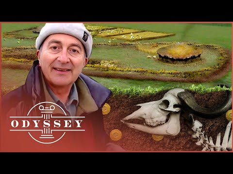 How Did This Mass Animal Grave Reveal A Buried Iron Age Settlement? | Time Team | Odyssey