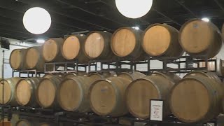 Kohr Explores: Canby Beer Library opens for business