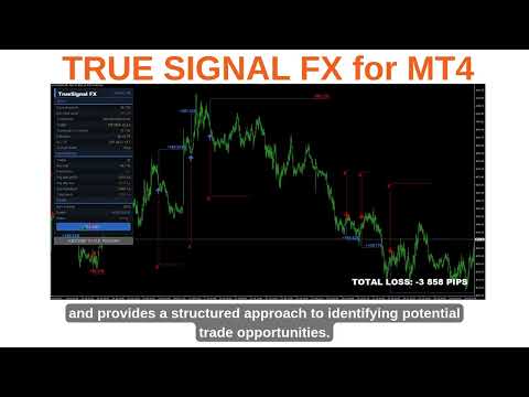 Video True Signal FX