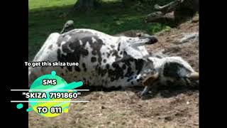 Download lagu Josphat Koech- KipngetKonyat mp3 Download lagu Josphat Koech- KipngetKonyat mp3