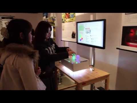 デザイン学科 2011_inokuchi_東京造形大学メディアデザイン専攻領域2011年度卒業研究
