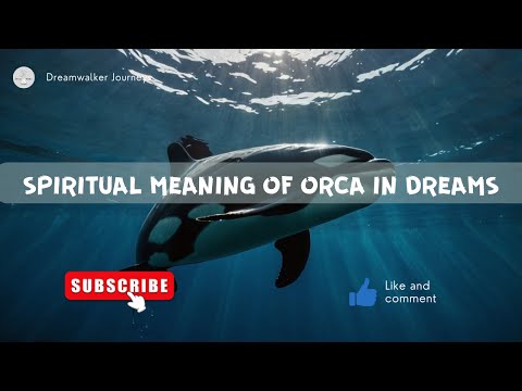 ORCA Dreams EXPOSED: The Hidden Symbolism You Need to Know