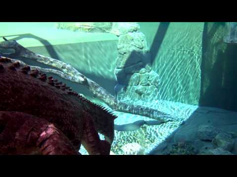 Evil Denzel in Cage of Death