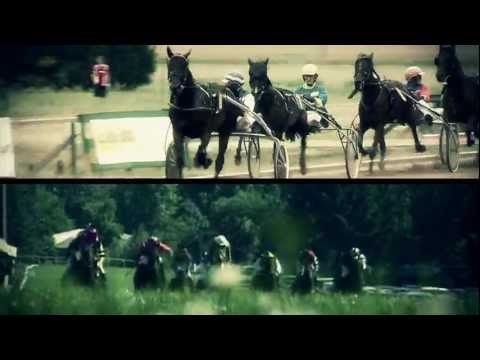 WINRACE TV - Pferderennen - Faszination Pferderennsport - Pferdewetten