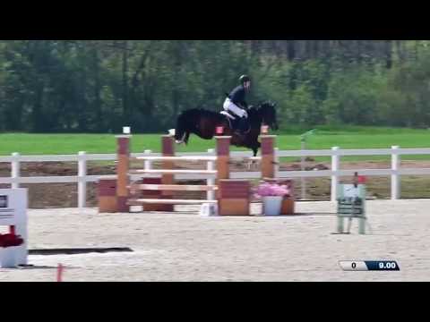 Gilles Nuytens & Elando CT CSIOJ Big Tour Gorla Minore