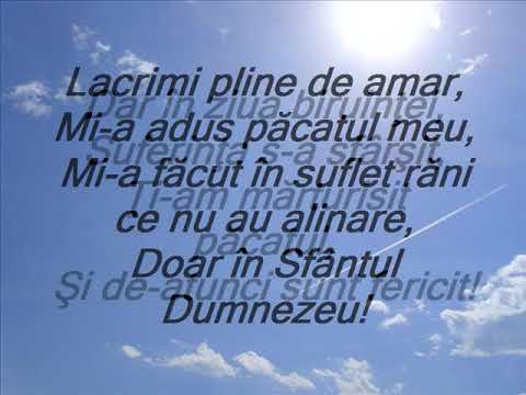 Câtă vreme în tăcere