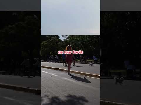 Ce pays a une ville où il ne cesse jamais de pleuvoir littéralement Colombie