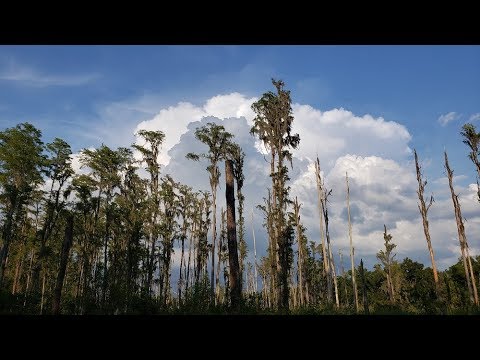 Finding Freedom - Good Vibe Nature VLOG - The #HumanNatureMonday Series 9-9-19