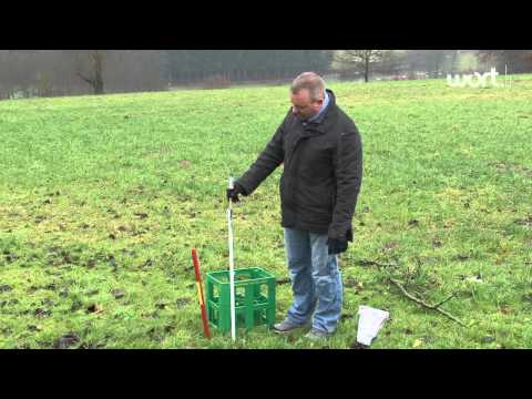 Freedefeier - wéi geet ee richteg mat denen eenzelne Produiten em?