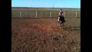 Shes My Kind Of Woman - Craig Morgan