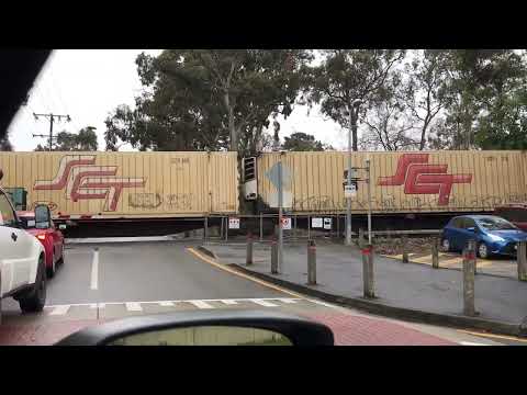 Another SCT Freight Train