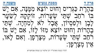 מסכת נגעים פרק ד משנה ה