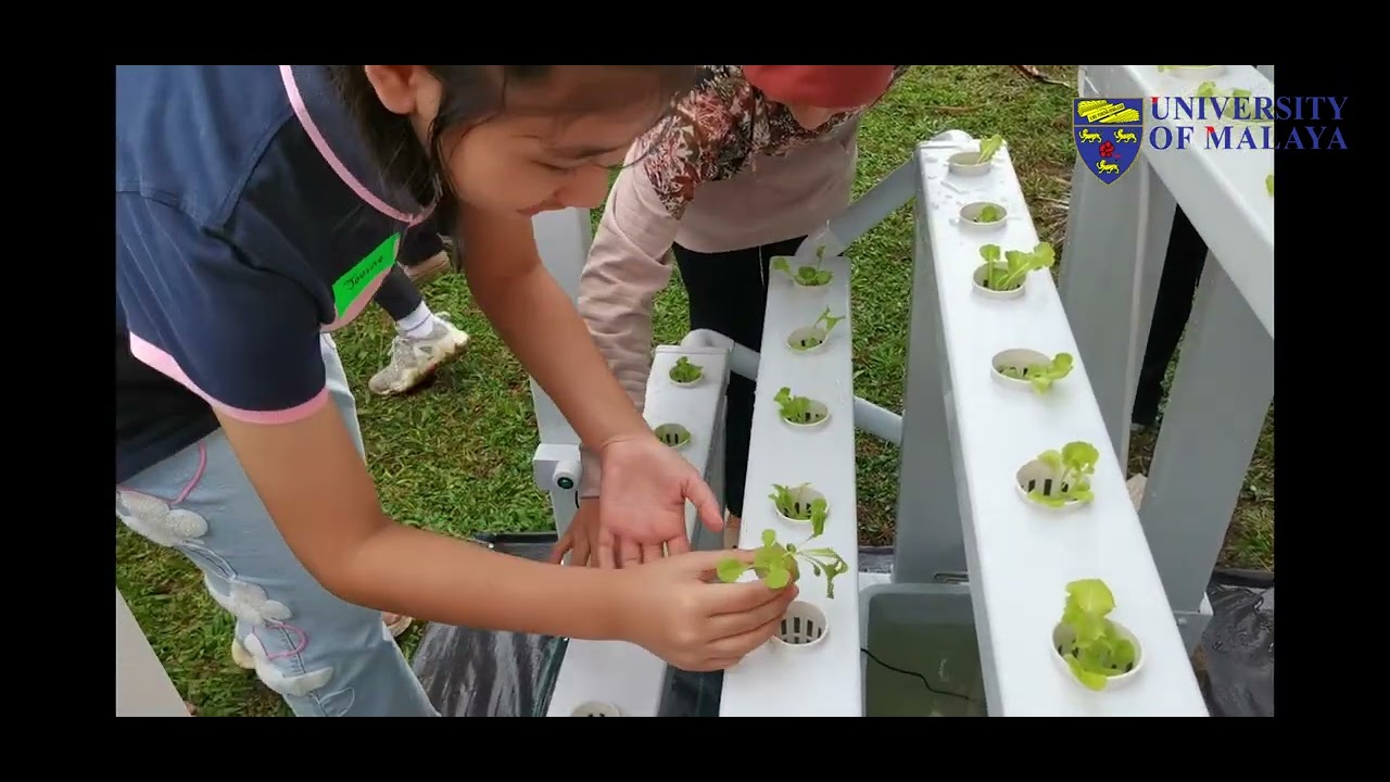 CQC7056_GROUP2_CSR VIDEO