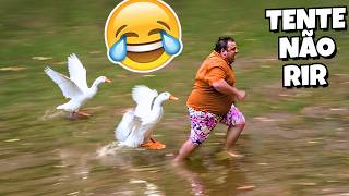 VÍDEOS ENGRAÇADOS 2026 😂 TENTE NÃO RIR MEMES - #49