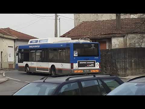 STCP No Linha 805 Veículos 3115, 3123, 3186,