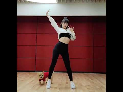 Twice Momo I Can't Stop Me Solo Dance on VLive