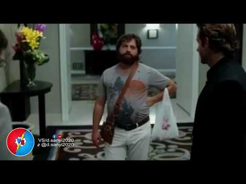 Másnaposok - Homár tasi  #dsanyi2020