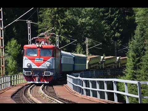 Reportajul plimbarii Gradinita - Larion - Silhoasa ~ 12km (misiunea 9) - 01.08.2017