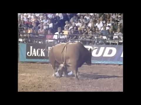 Party Hound bucks Jason Bennett - 00 PBR Laughlin