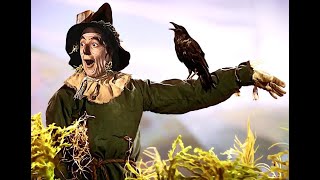 John Mellencamp - Rain On The Scarecrow