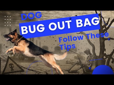 Bugging Out with your dog : Packing a Dog Bug Out Bag