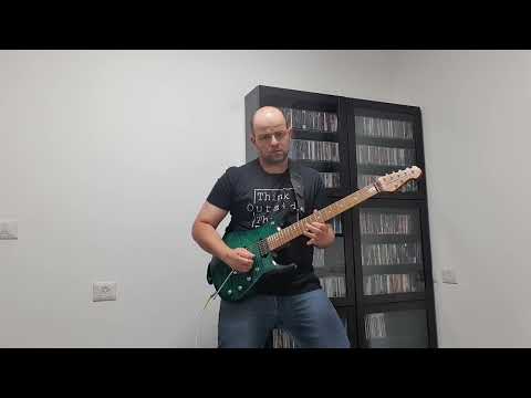 Within Temptation - Covered By Roses (Guitar Solo Cover)
