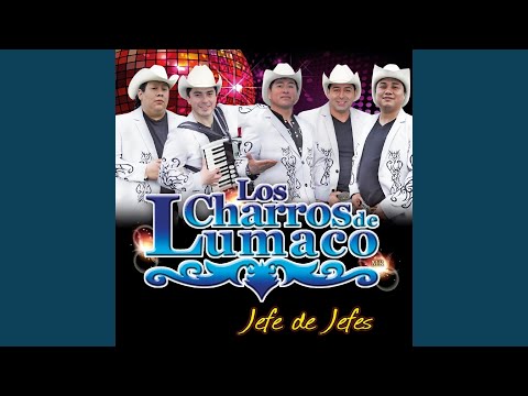 Como Dejar De Amarte - Los Charros De Lumaco