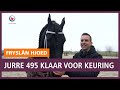 REPO: Wordt Jurre 495 voor de vierde keer kampioen op de Hengstenkeuring?