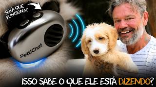 CHEGOU O “TRADUTOR” DE CACHORROS E GATOS! 😱🐶🐱