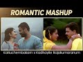 Kattuchembakam X Kadhayile Rajakumaranum Remix Song Pallichattambi Kalyanaraman