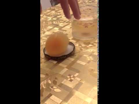 Rimbalza l'uovo rimbalza