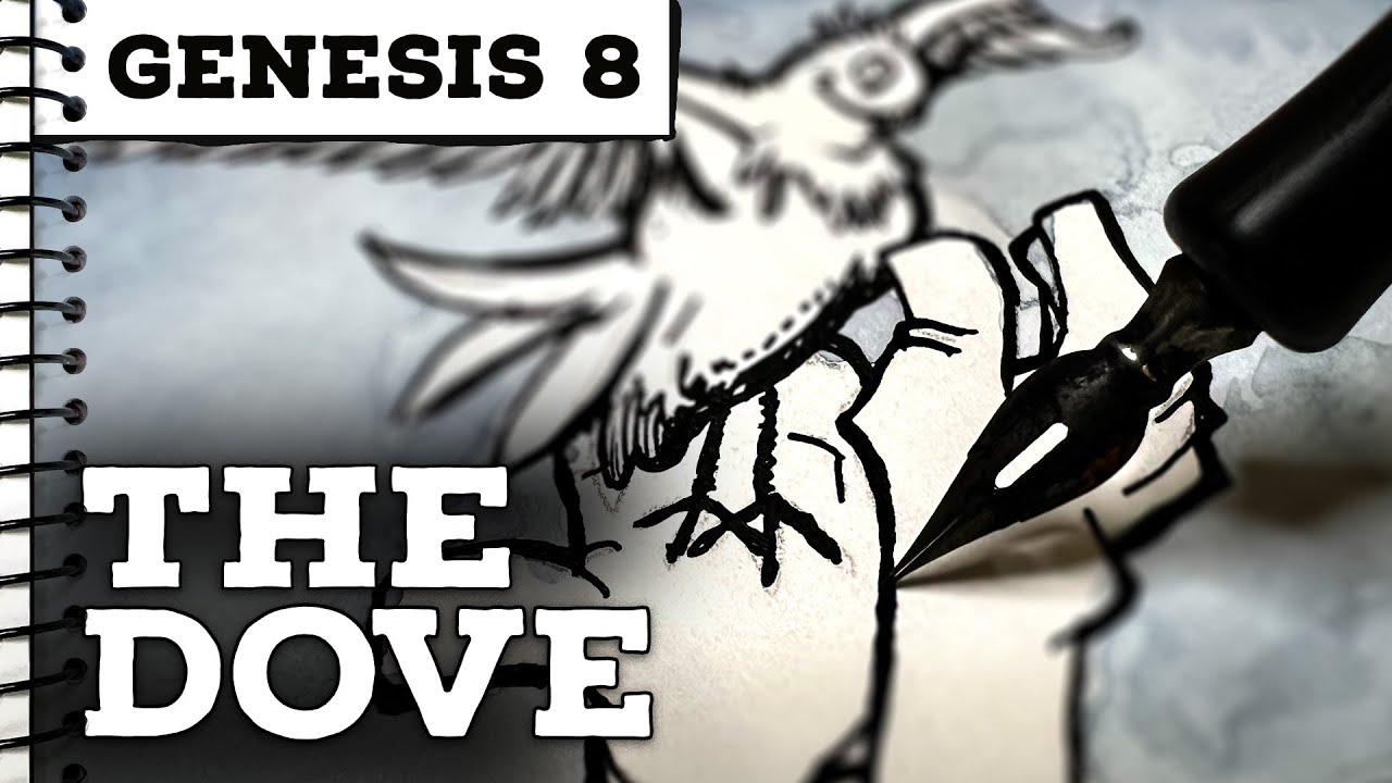 Genesis 8: The Dove Returns 🌿 A Sketchbook Journey of Hope & New Beginnings