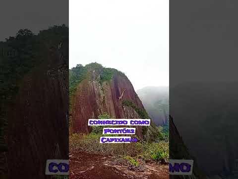 essas são as belezas naturais de Pancas -ES #belezanatural #natureza