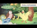 Little Bear Duck Loses Her Quack Feathers In A Bunch Detective Little Bear FULL EPISODE