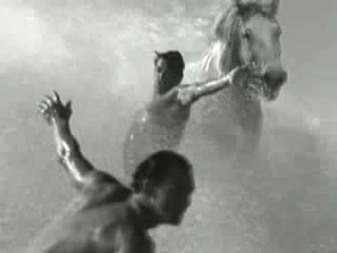Guinness - The Surfer White Horses