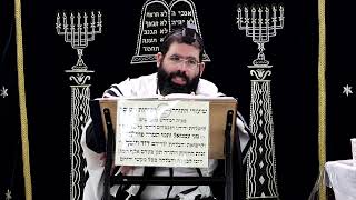 הוריות דף ח' ע''ב ¤ הרב נתנאל אברז'ל ¤ בית הכנסת "בית מרדכי" (מוסדות תורת דוד) - התמונה מוצגת ישירות מתוך אתר האינטרנט יוטיוב. זכויות היוצרים בתמונה שייכות ליוצרה. קישור קרדיט למקור התוכן נמצא בתוך דף הסרטון